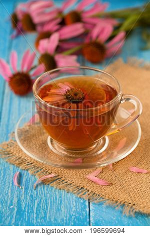 Cup of echinacea tea on blue wooden table.