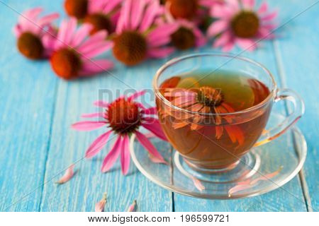 Cup of echinacea tea on blue wooden table.