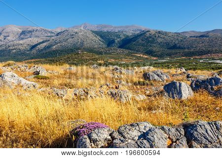 Majestic View Of Cretan Landscape At Sunset, Malia, Crete