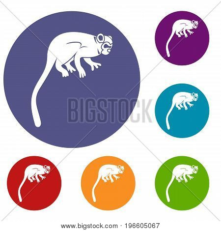 Marmoset monkey icons set in flat circle red, blue and green color for web