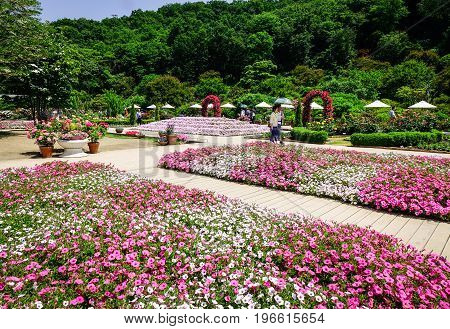 Ashikaga Flower Park In Tochigi, Japan