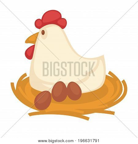 Big funny hen with red head top and yellow beak sits on straw nest with eggs isolated vector illustration on white background. Healthy poultry grown at farm. Domestic bird waits for progeny.