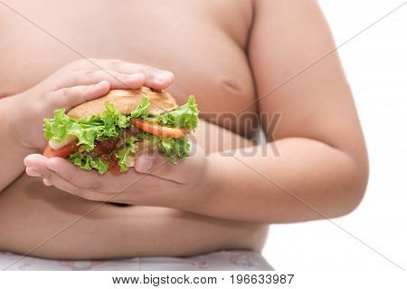 Pork Hamburger On Obese Fat Boy Hand Background Isolated
