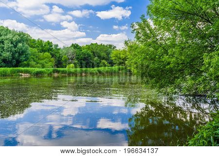 River Morava near city Bratislava Slovakia. Beatiful flooded nature