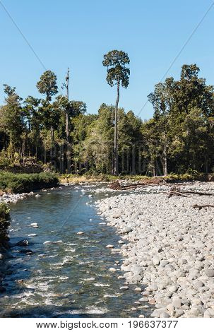 riverbed with boulders in Kahurangi National Park, South Island, New Zealand