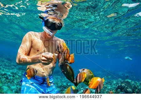 Happy family vacation - man in snorkeling mask dive underwater with tropical fishes in coral reef sea pool. Travel lifestyle water sport outdoor adventure swimming lessons on summer beach holiday