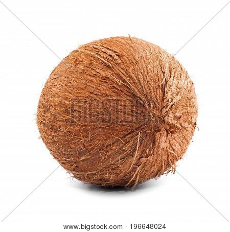 A single whole and perfectly round coconut isolated on a white background. A close-up of a fresh and hard hawaiian coconut. Delicious and healthful summer ingredients for gourmets.
