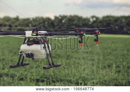 Closeup view of agriculture drone spraying water fertilizer on the green field. Drones spraying pesticides to grow potatoes.