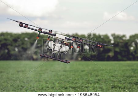 Agriculture drone fly to sprayed fertilizer on the rice fields. Industrial agriculture and smart farming