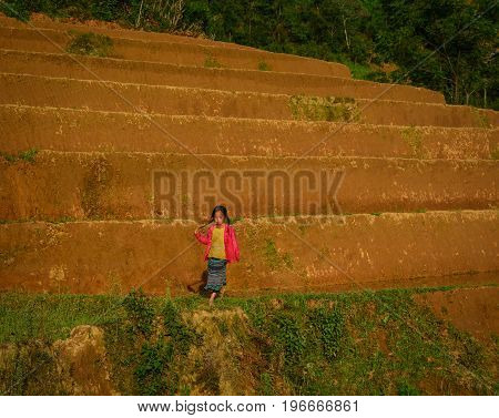 Children Playing On Rice Field In North Of Vietnam