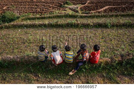 Children Playing On Rice Field In North Of Vietnam