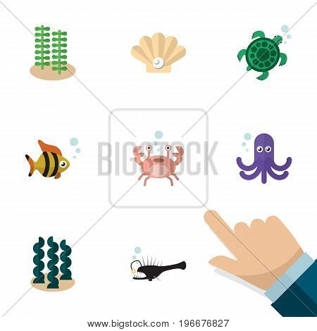 Flat Icon Sea Set Of Seaweed, Cancer, Tortoise And Other Vector Objects
