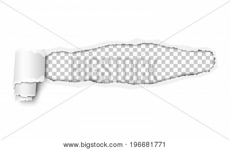 Vector snatched window in piece of white paper with torn edges and paper curl. Resulting window is transparent and ready for any color and has space for text copy or ad. Template paper design.