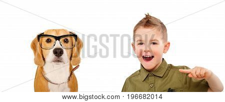 Portrait of laughing boy, pointing finger on a beagle dog wearing glasses, isolated on white background