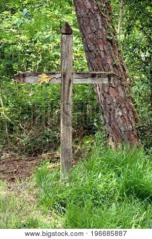 a wooden calvary located in the forest