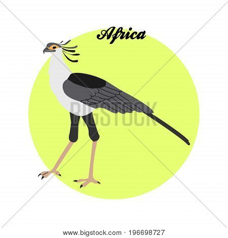 Secretary bird illustration on the background of the circle with the inscription Africa. Vector.