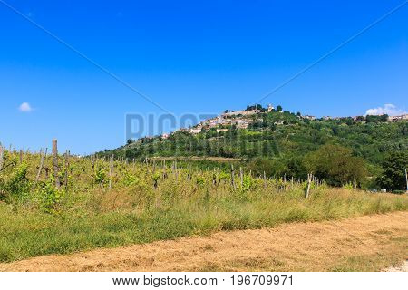 View of Istrian town of Motovun on picturesque hill Croatia