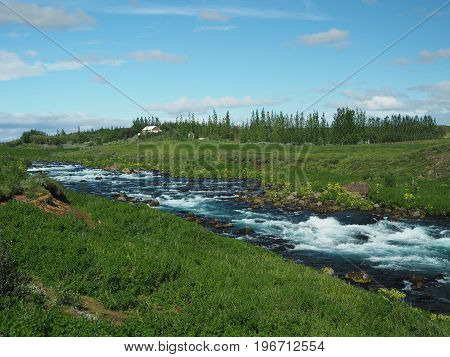 Wild Blue Glacier River Stream In A Green Grass With Poplar And Cottage Sunny Blue Sky Small Clouds