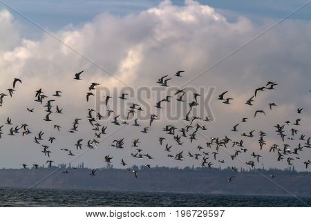 The End Of The Kinburn Spit, Mykolayiv Region, Ukraine.