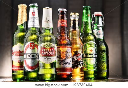 Bottles Of Assorted Global Beer Brands