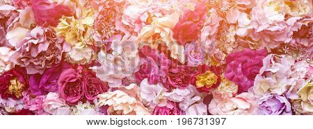Flower texture background for wedding scene. Roses, peonies and hydrangeas, artificial flowers on the wall. Banner for website.