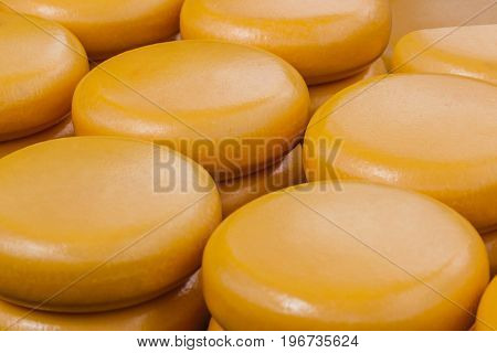 Cheese at traditional cheese market in Alkmaar Netherlands