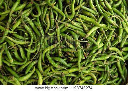 green chili peppers in the market on india