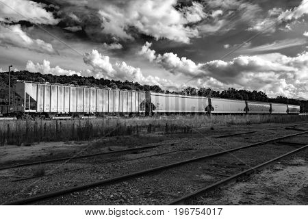 Boxcars waiting on the tracks for the engineer