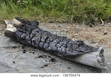 A charred log with a good texture on the background of grass