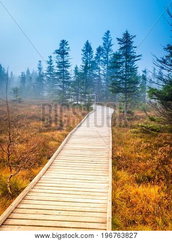 Wooden path in peat bog Bozi Dar, Czech Republic. Colorful autumn landscape scene