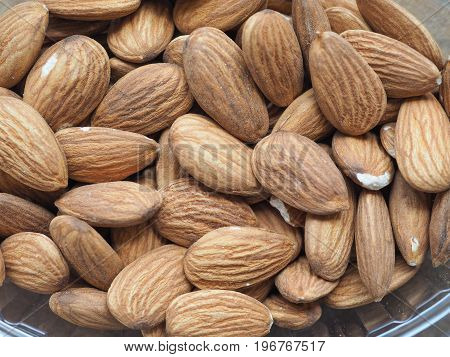Dried Almonds Fruit