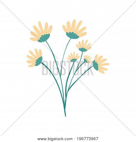 hand drawing yellow color daisy flower bouquet with several ramifications vector illustration