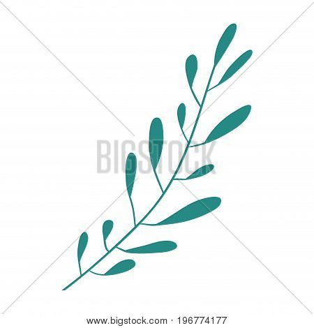 hand drawing green color leaf oval shape with several ramifications vector illustration