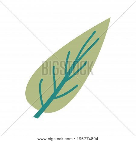 hand drawing color of big aovada leaf plant vector illustration
