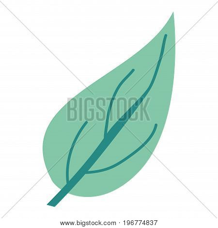 hand drawing green light color of big aovada leaf plant vector illustration
