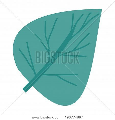 hand drawing green light of aovada leaf plant vector illustration