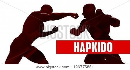 Hapkido Class with Silhouette of Two Men Fighting 3D Illustration Render