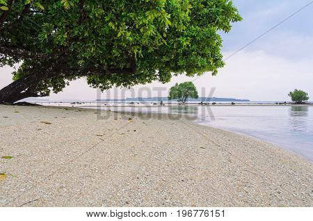 Coral beach at low tide on an overcast day - Espiritu Santo, Vanuatu