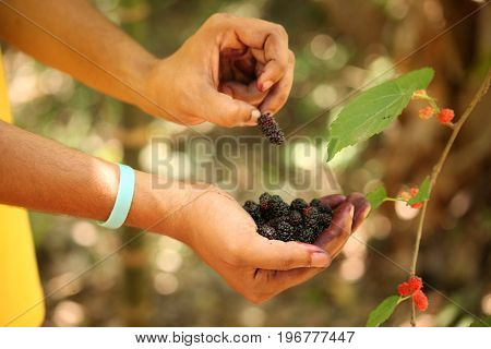 Fresh mulberries on hand of a young man