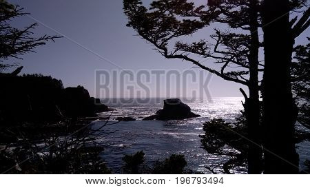 Cape Flattery at Neah Bay. Cute of water through the trees at sunset.