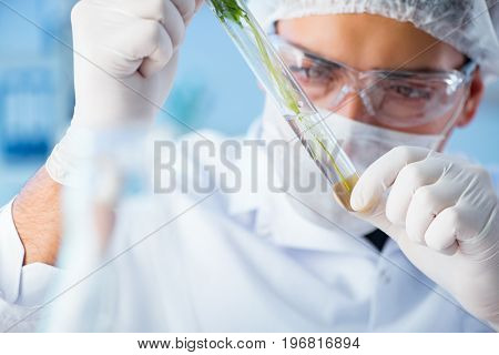 Biotechnology concept with scientist in lab