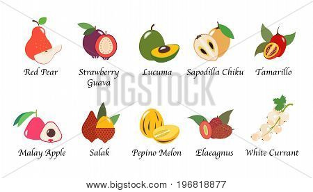 Organic Nature Health Fruit Isolated Vector Collection Set