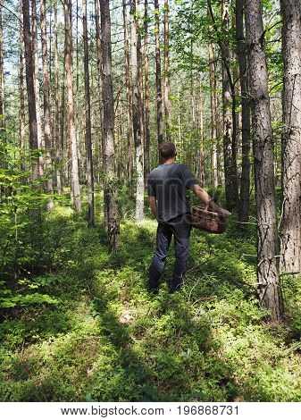 young man in the forest is hunting for a mushrooms holding creel - mushroom picking