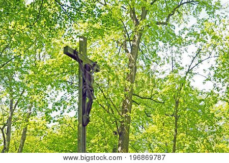 Wooden Crucifix With Jesus In Hardwood Forest