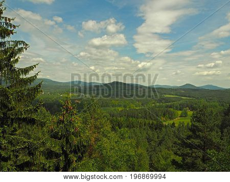 Idyllic View With The Spruce Trees Forest Hills And Meadows