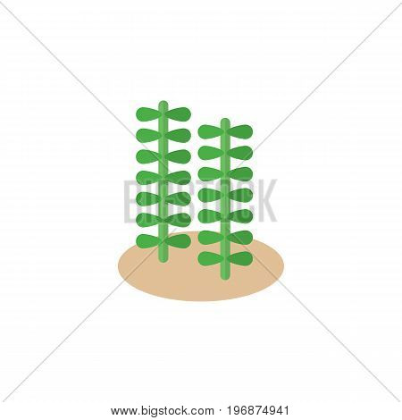 Seaweed Vector Element Can Be Used For Seaweed, Alga, Spirulina Design Concept.  Isolated Alga Flat Icon.