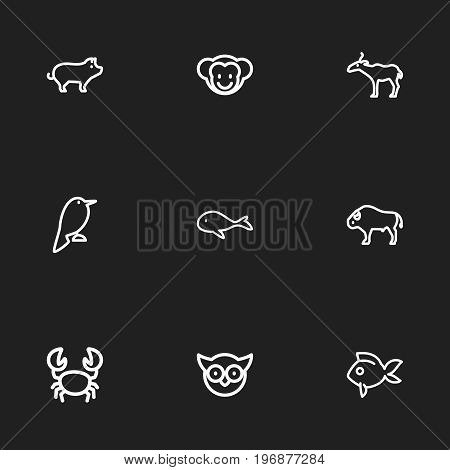 Set Of 9 Editable Zoo Outline Icons. Includes Symbols Such As Philomel, Pig, Ape And More