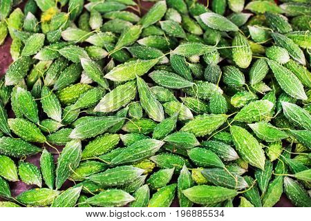 Karela Vegetable Bitter Gourd