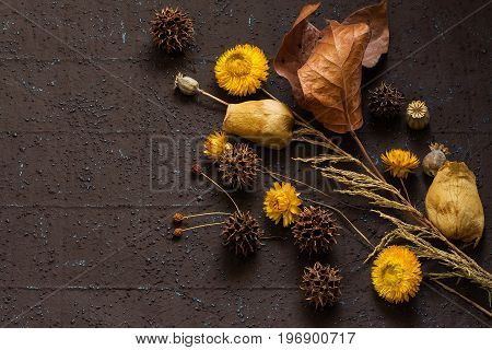 Autumn composition of dry leaves strawflower sweetgum and poppy capsules on brown textural background with copy space