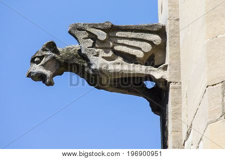 A gargoyle on the exterior of St. Marys Church in York UK.